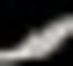 Meet your Posher, Samuel